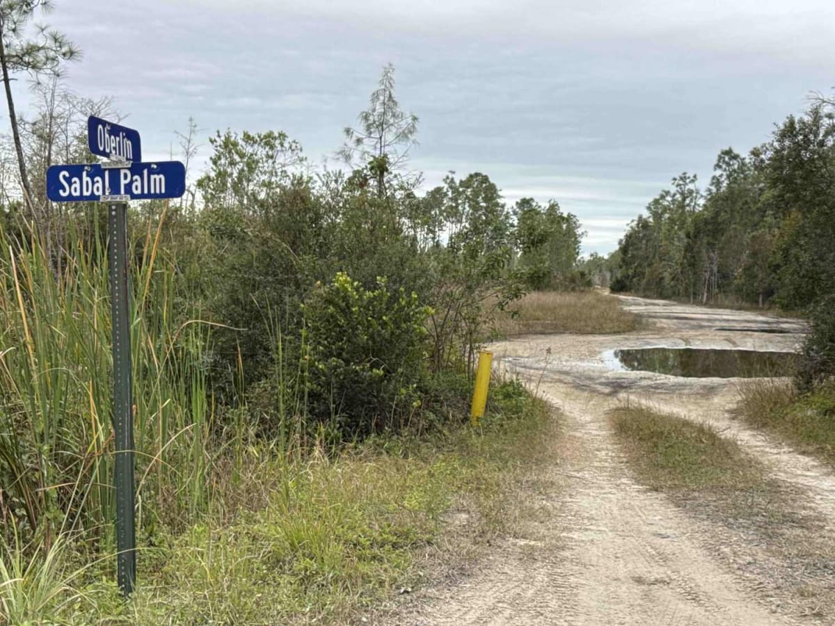 West Sabal Palm Road photo 6