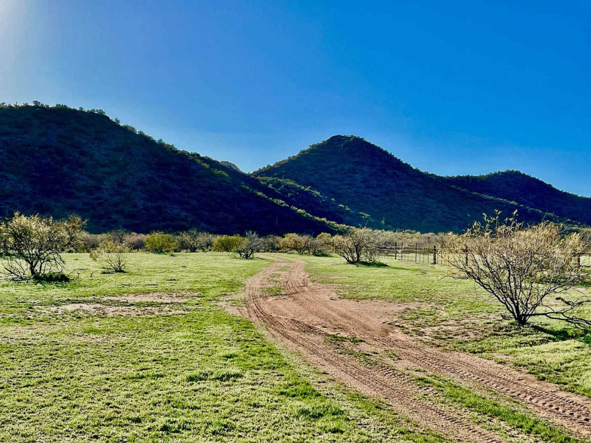 Black Mountain East trail photo