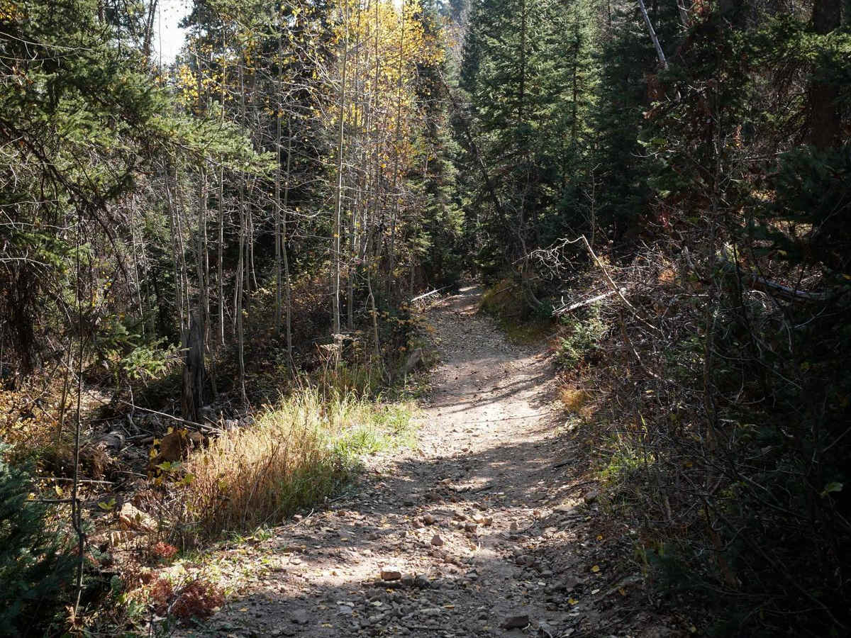 Dry Creek ATV Spur photo 4
