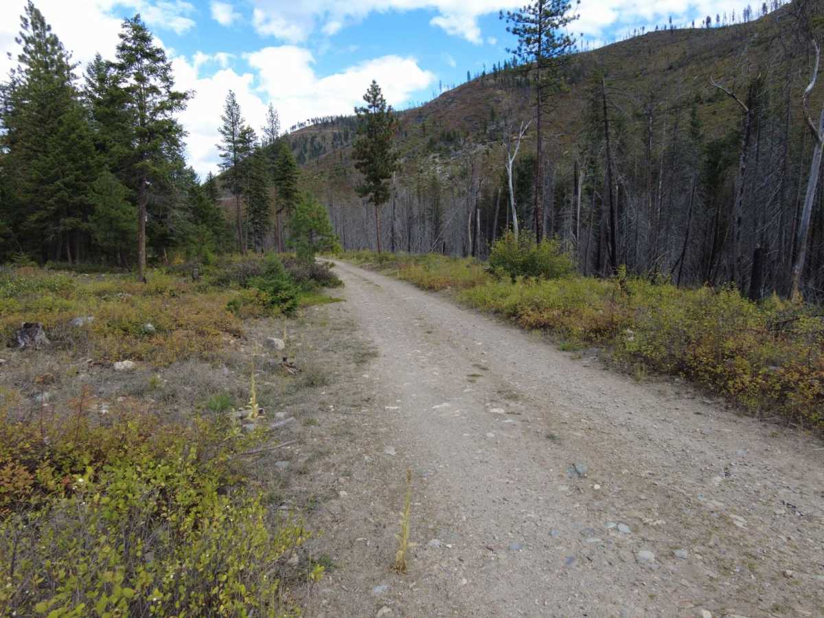 West Fork of Swamp Creek photo 5