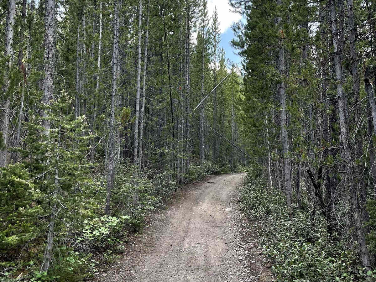 Rainbow Creek ATV trail photo