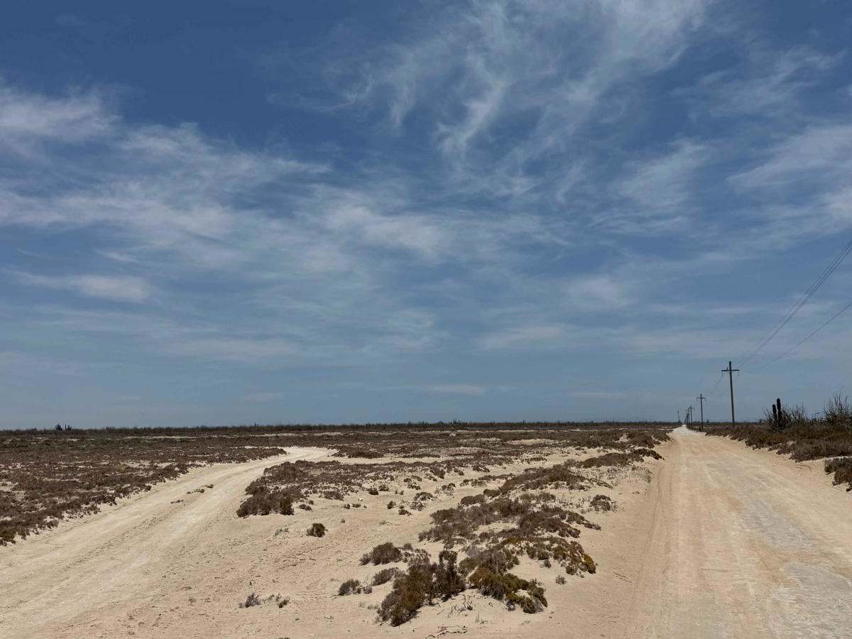 Powerline Road photo 4