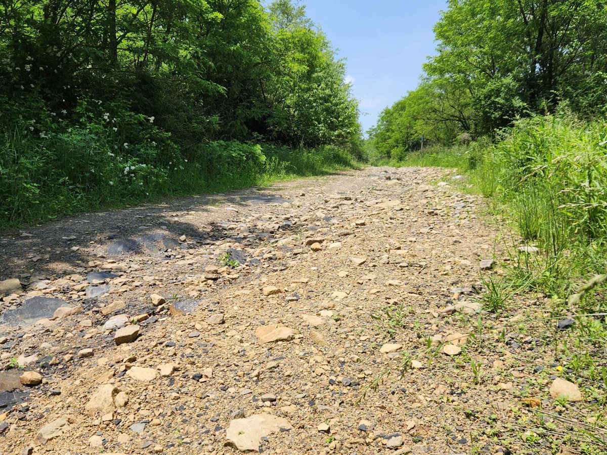 Eastern Flats Road - Rock Run Recreation photo 5