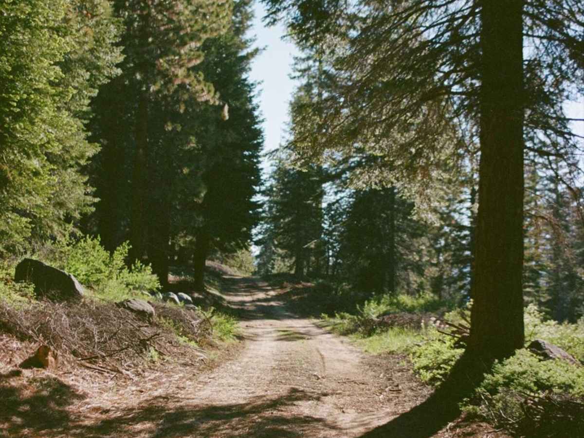 Buck Rock Jeep Trail photo 2