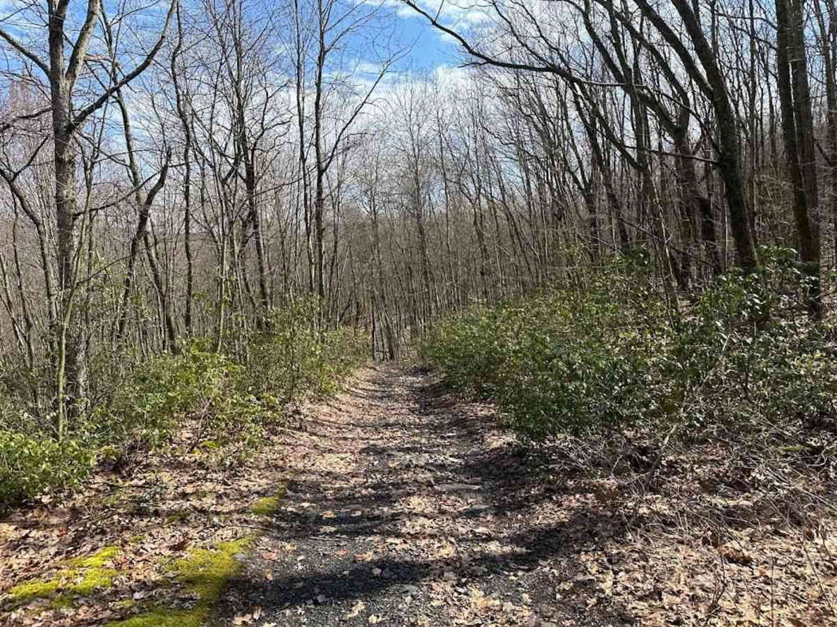 Ashland 120 photo 3