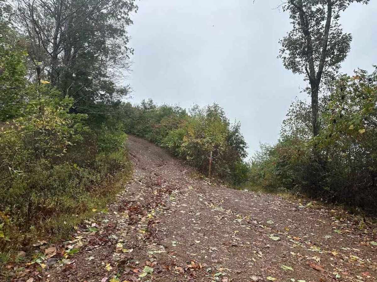 42 Black trail photo
