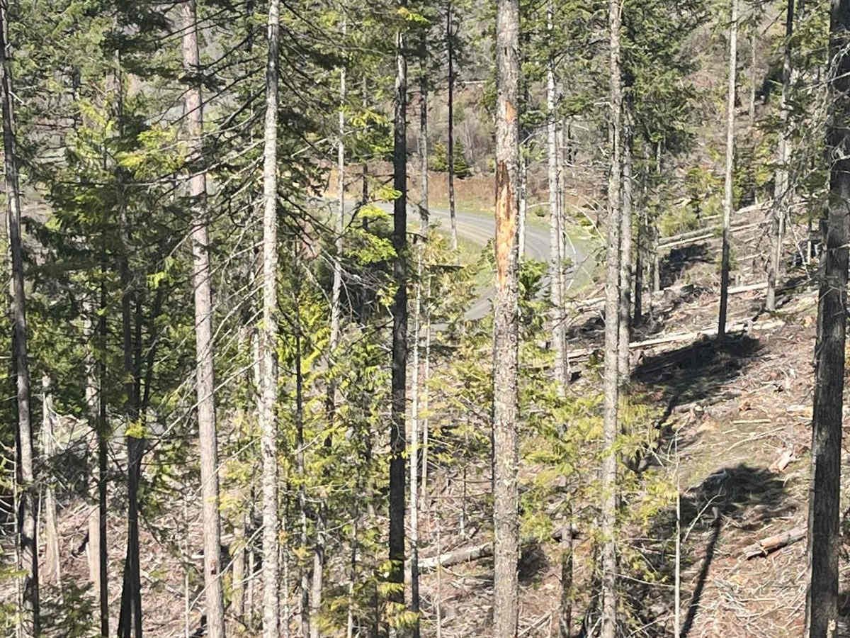 Cherry Butte Lower Road photo 5