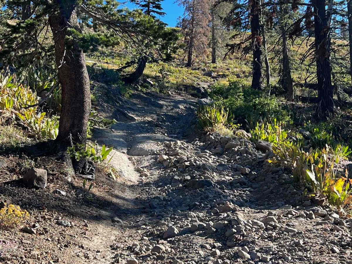 Eagle Peak 4x4 Trail photo 4