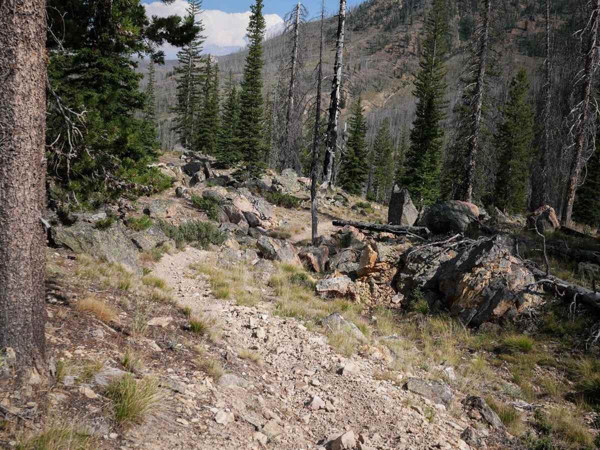 Westfork Yankee Fork trail photo