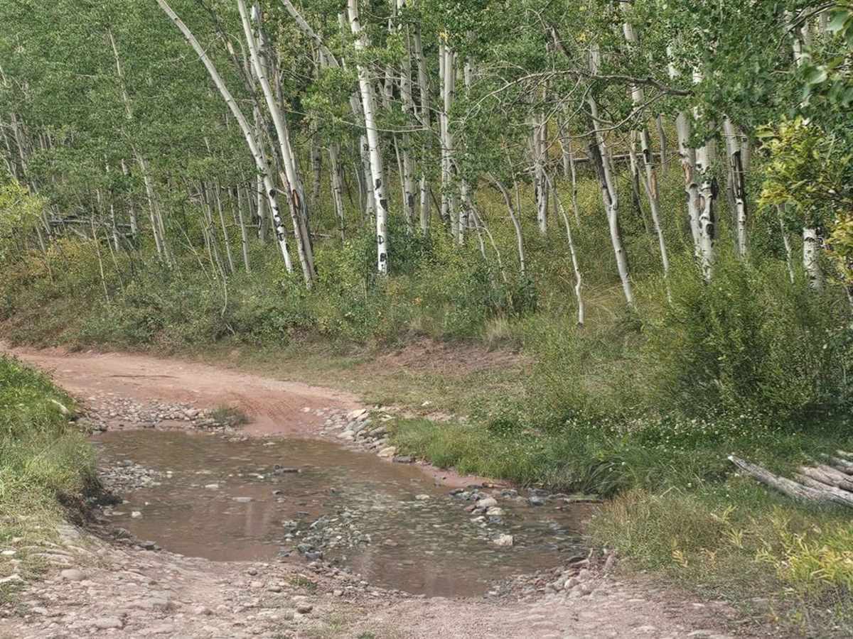 Crooked Creek/ Tilly Road photo 6