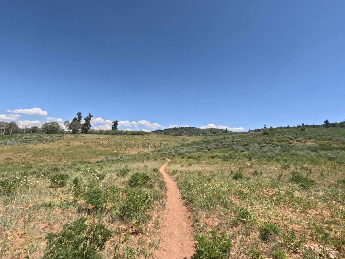 Rock Spring - FS 8101 trail photo