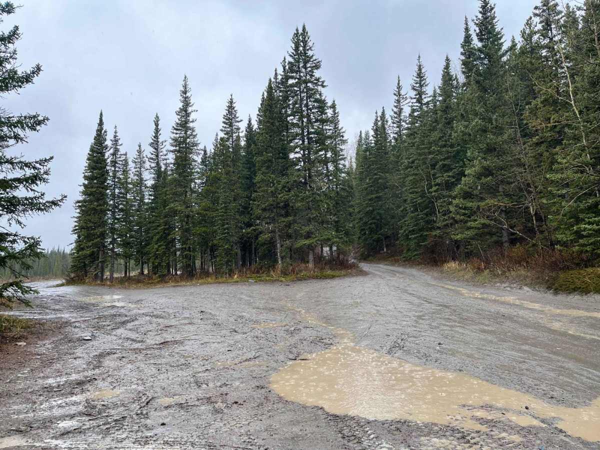 Waiparous Creek Road photo 6
