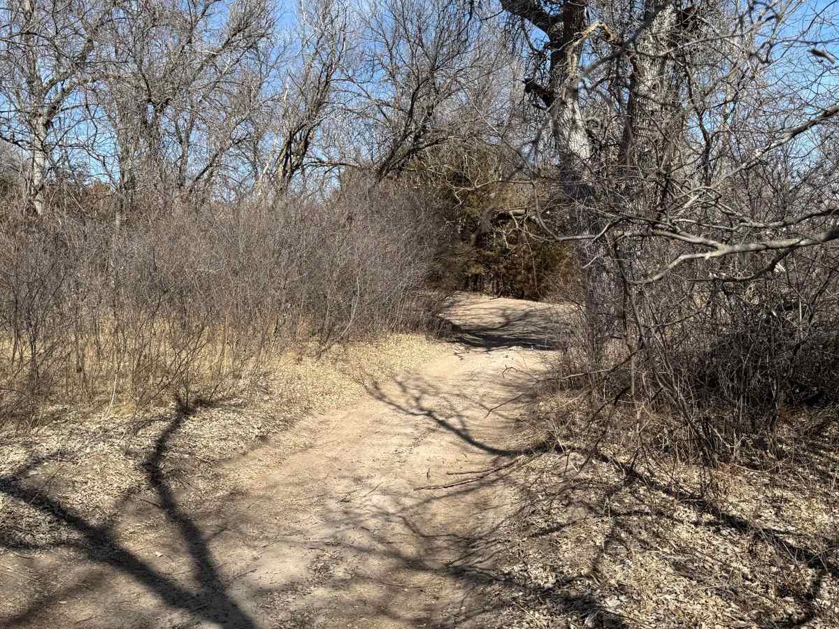 Forest Road 214-2 - County Line photo 2