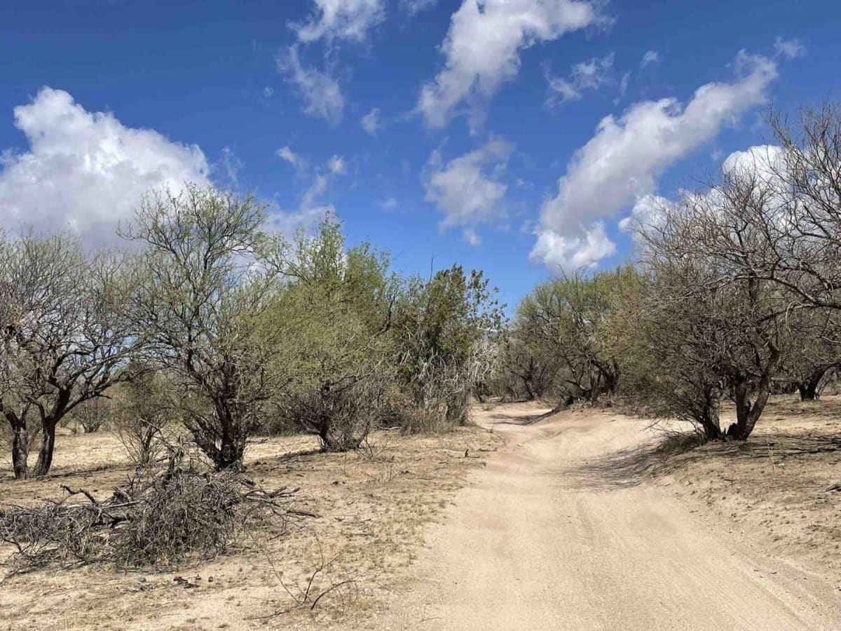 Chiva Loop - Forest Road 4417 photo 3