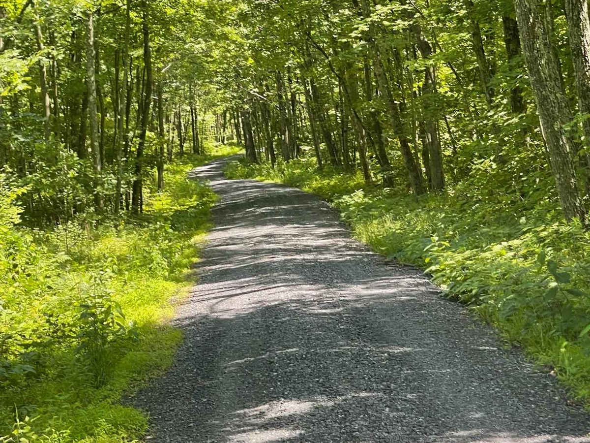 Robbins Road photo 4