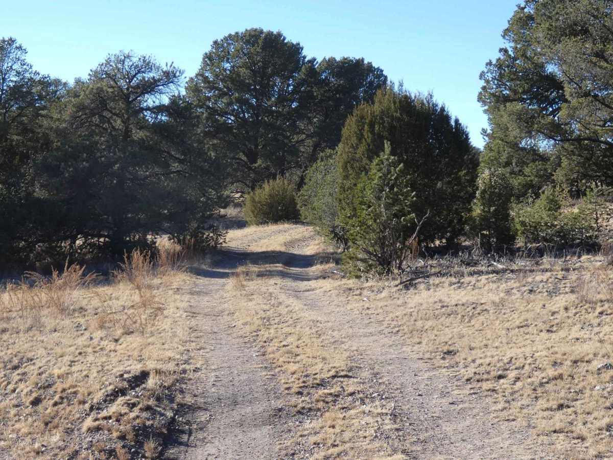 Cerro Pelon Base photo 2