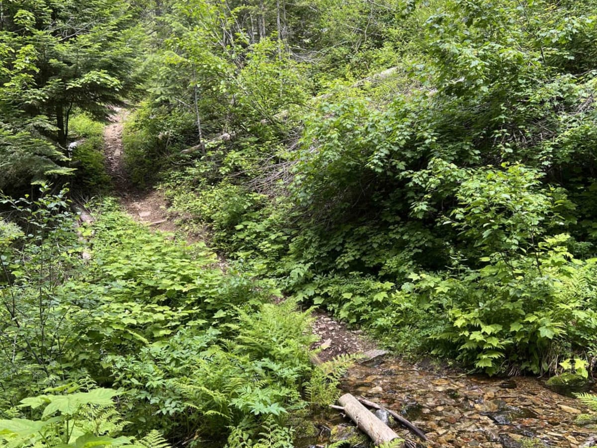 Little North Fork photo 3