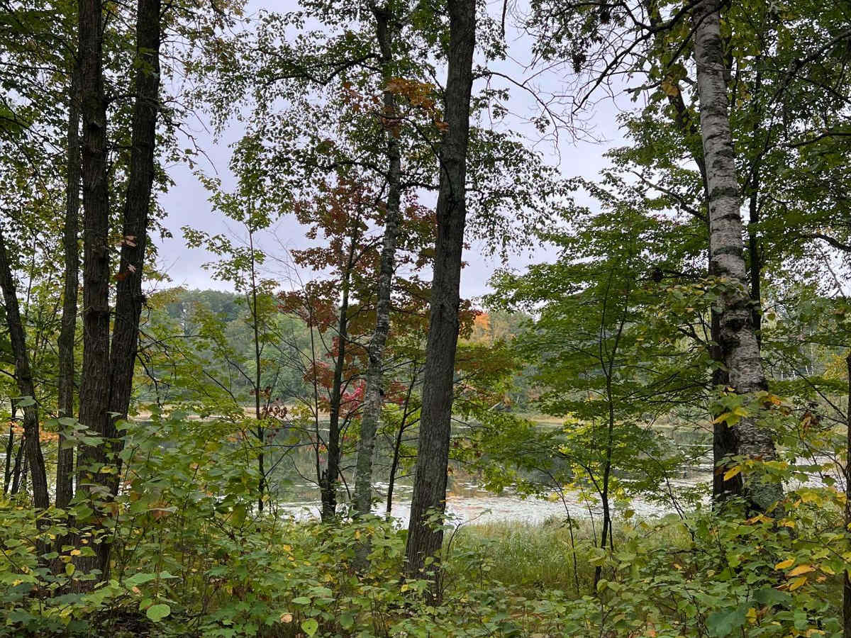 Spider Lake North State Forestry Rd photo 4