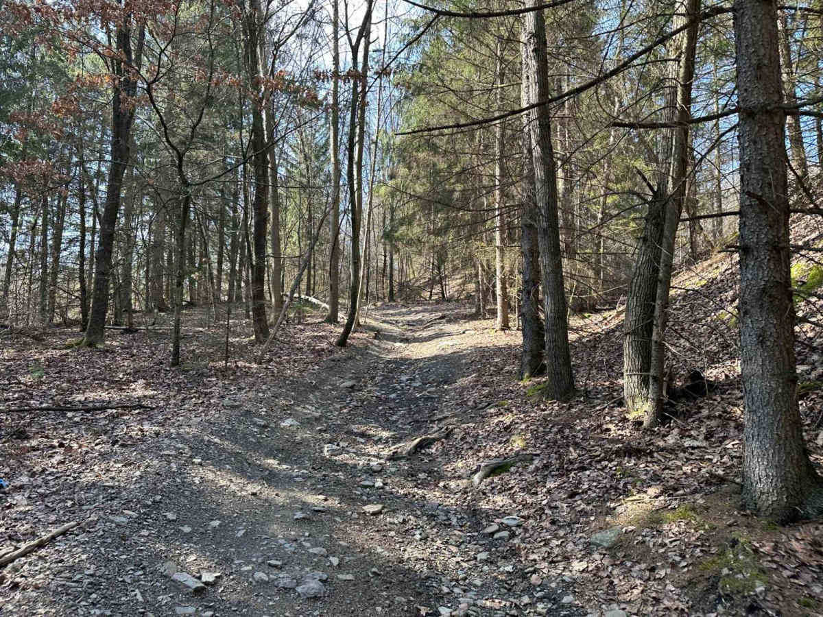 Ashland 104 photo 5