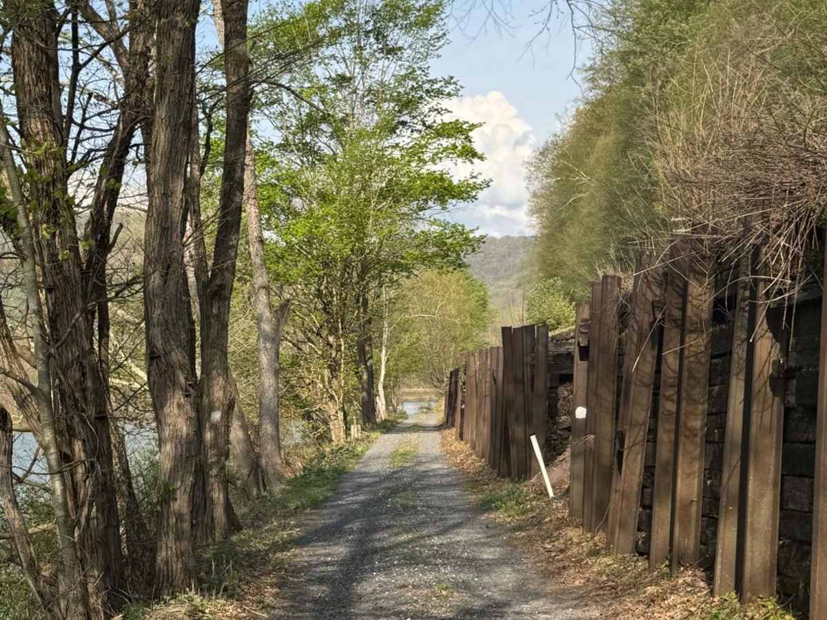 Hyner River Road photo 4