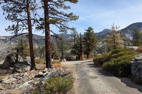 Florence Lake Road
