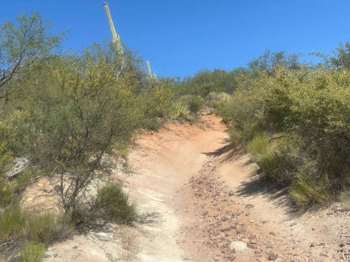 Eagle Peak photo 5