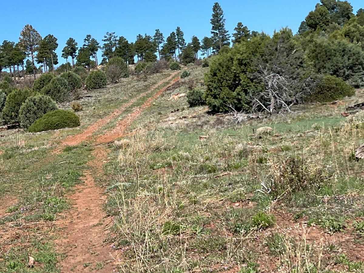 General Crook Trail photo 6