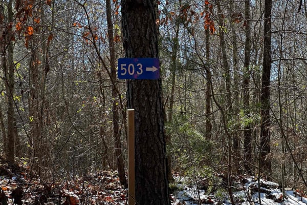 503A