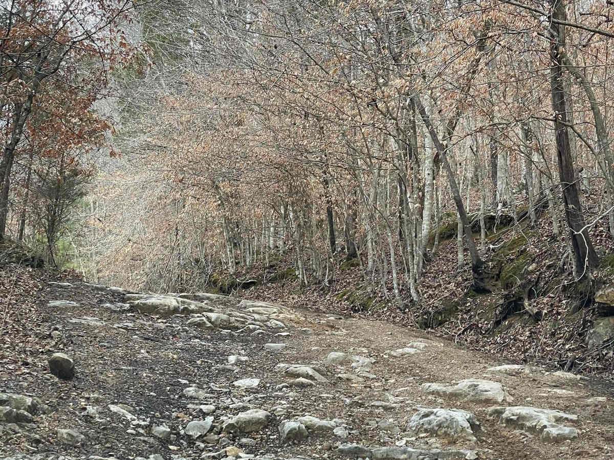 Little Coon River Trail photo 2