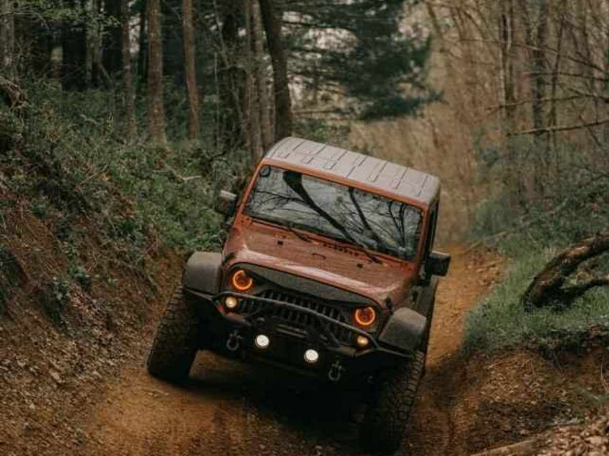 Dry Branch Road - "Where Mall Crawlers Die" photo 3