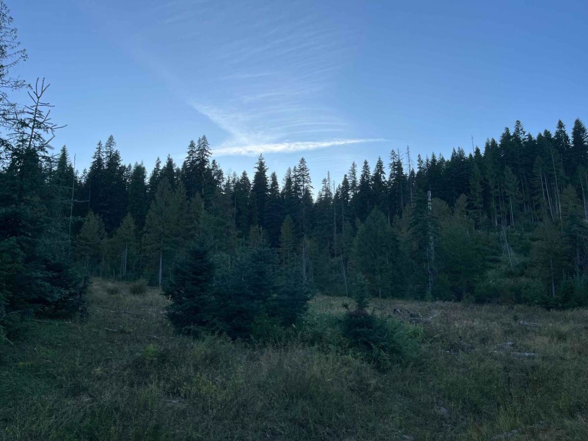 Moose Creek Spur trail photo