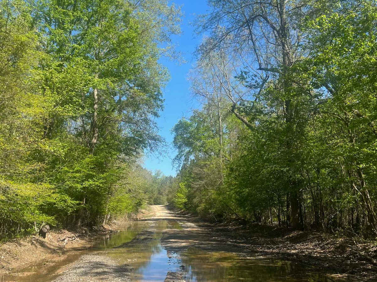 Sugar Creek Road photo 4