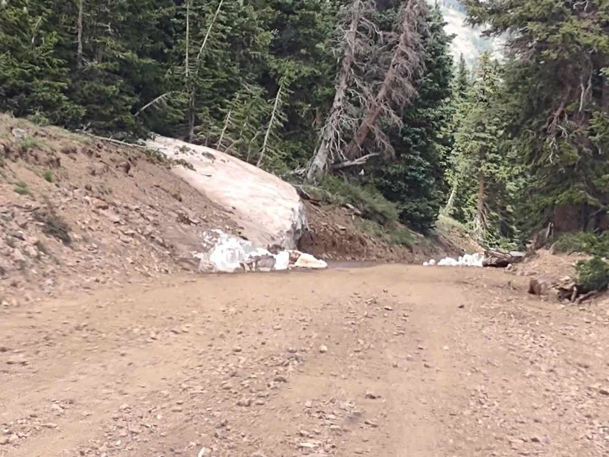 Revenue Gulch - Bullion/Wedge Road photo 3