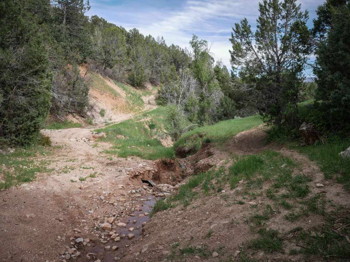 Knoll Hollow ATV Trail photo 5