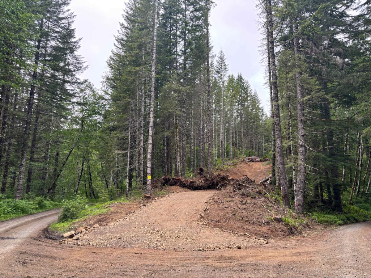 Dovre Peak to Tahoe Lake photo 5