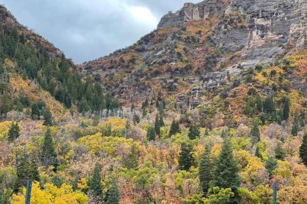 Log Canyon