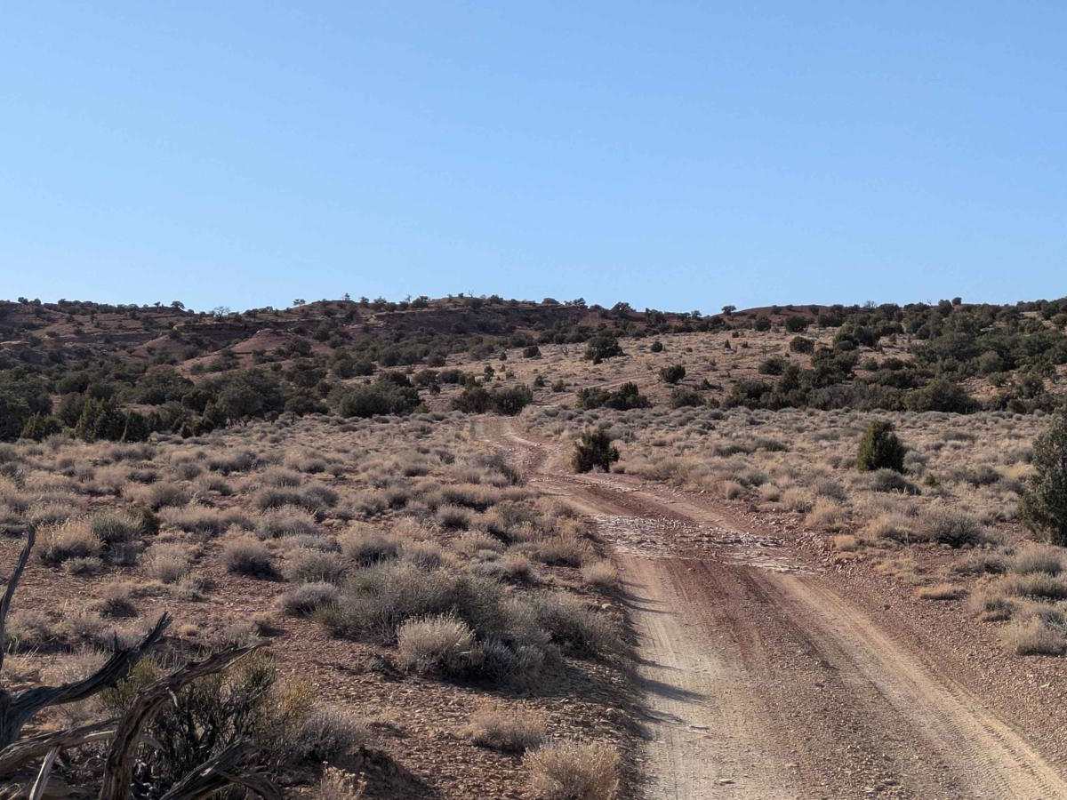 BLM 846 photo 5