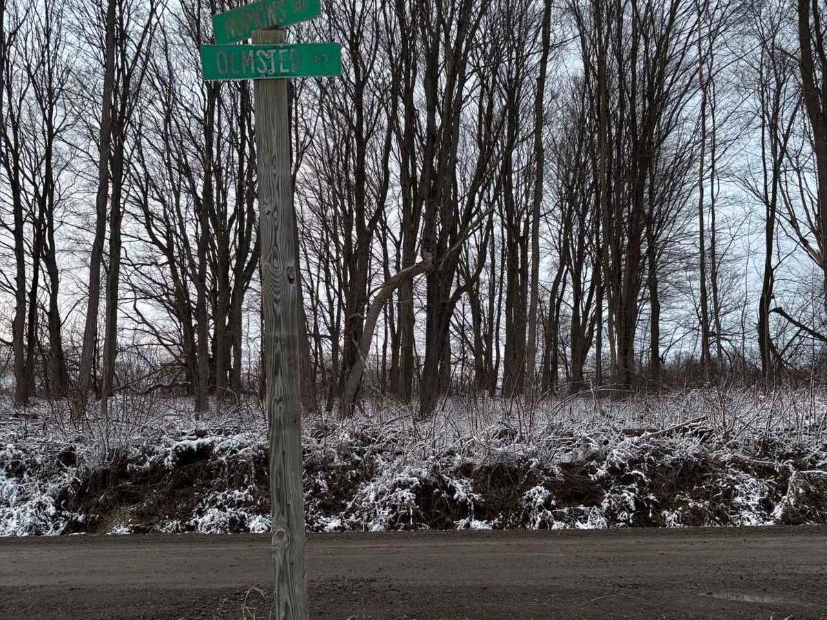 Olmstead Hill Road / Peck Road (seasonal) trail photo