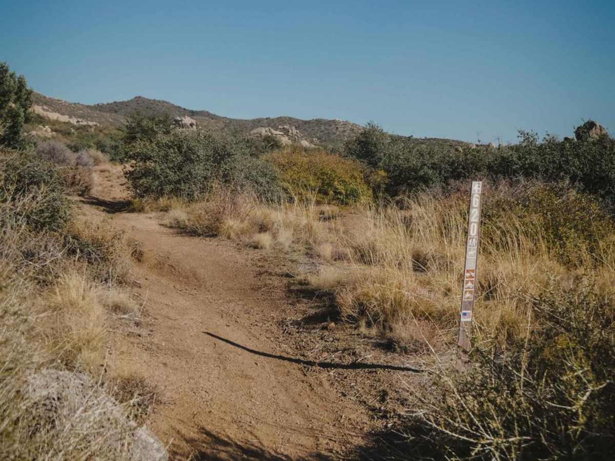 Box Culvert photo 5