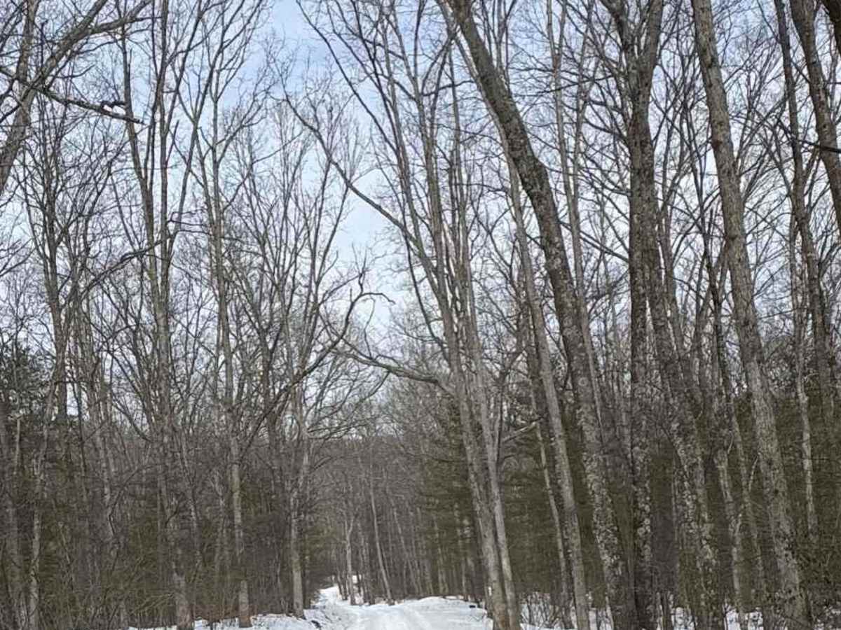 Winklebleck Road photo 5