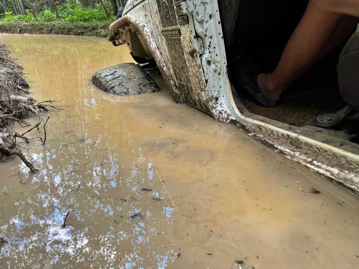Mud Crawl photo 5