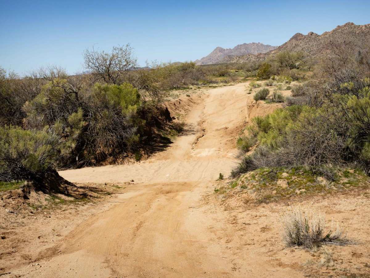 Jackrabbit Way photo 3