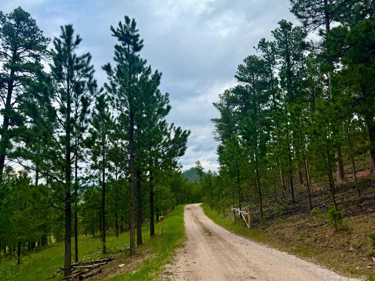 Champaign Hill Road trail photo