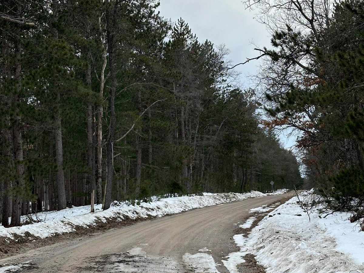 FS 4103 trail photo