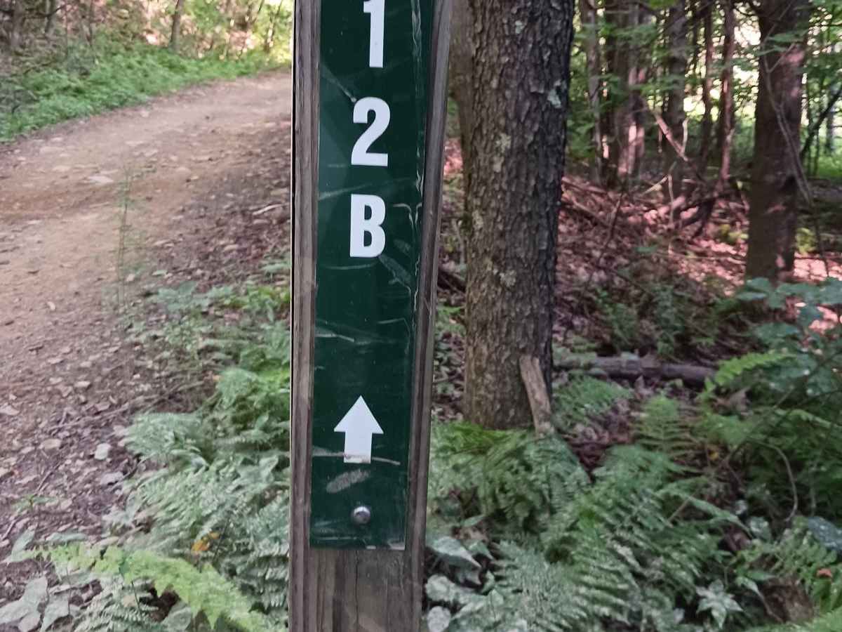 Trail 12B - Rock Run Recreation Area trail photo