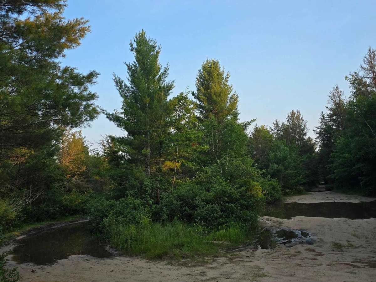 North Meridian Road trail photo