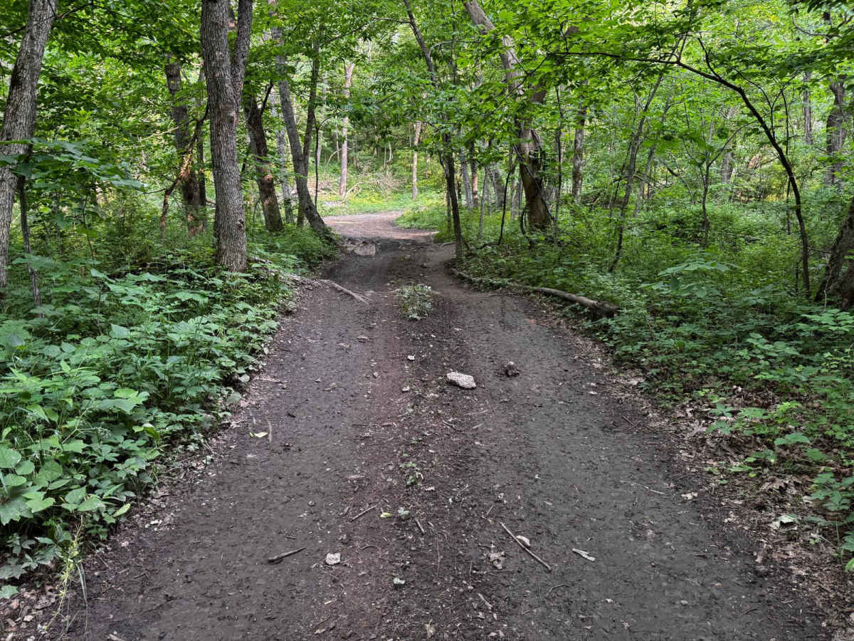 Green 137 trail photo
