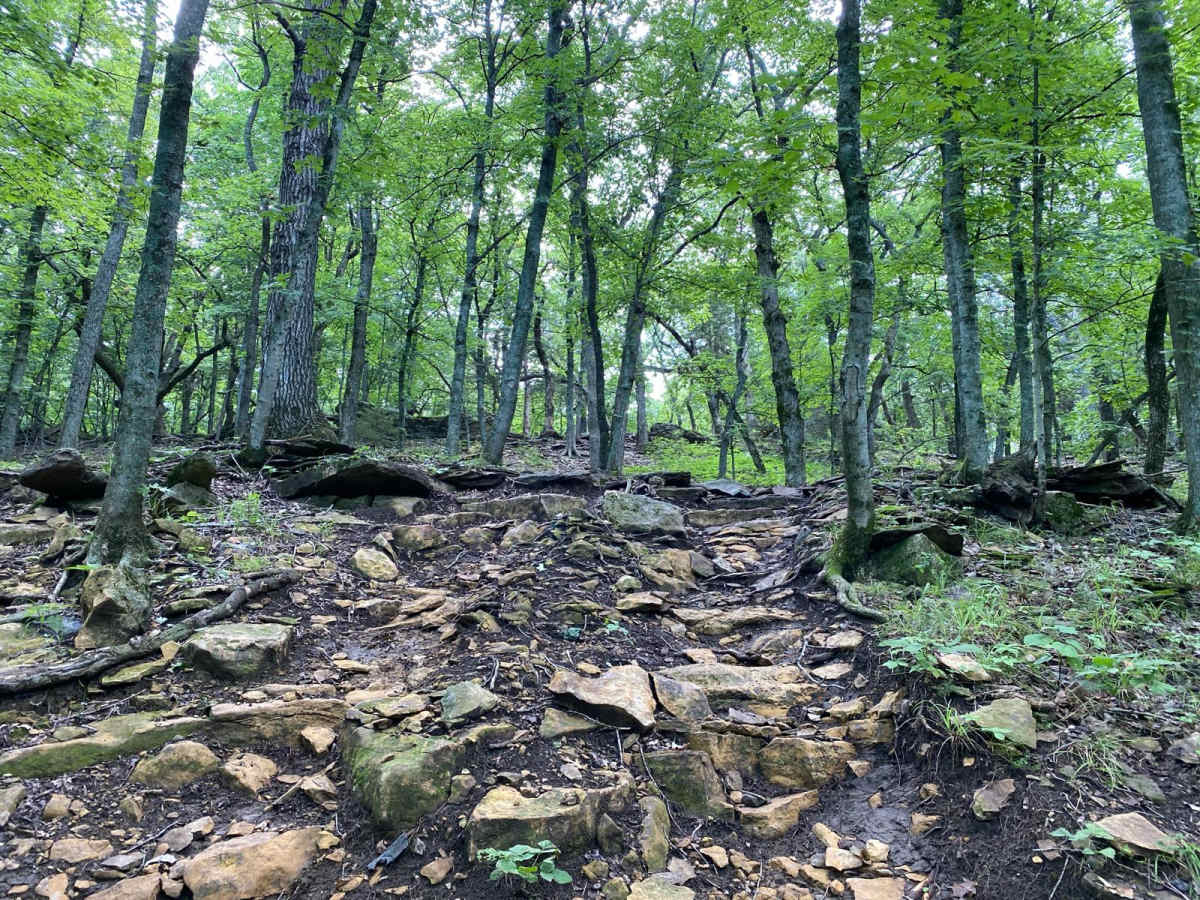 Z Hill photo 3