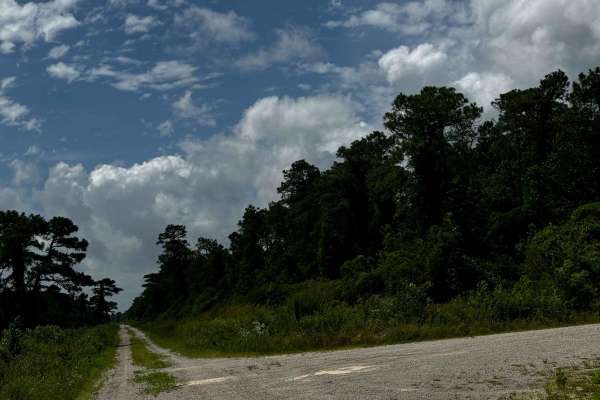 Western Road Pocosin National Wildlife Refuge