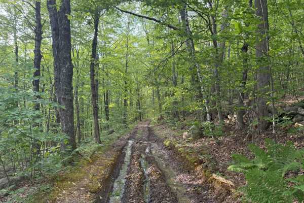 Brimstone Corner Road